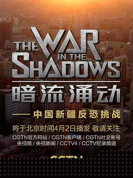 暗流涌动——中国新疆反恐挑战