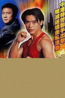 功夫特警粤语