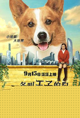 一条叫王子的狗