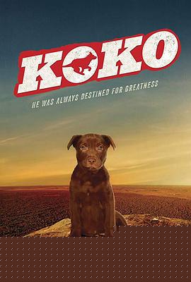 Koko红犬历险记