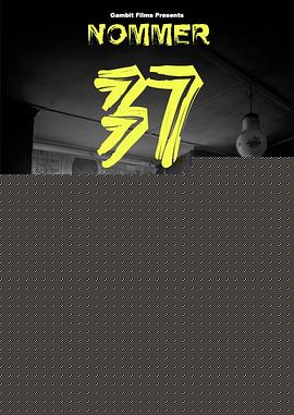 37号