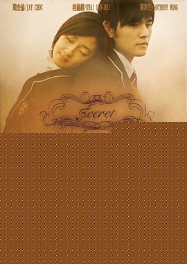 不能说的秘密2007