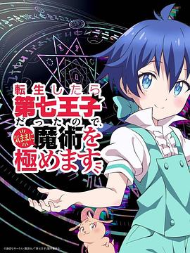 转生七王子的魔法全解第11集
