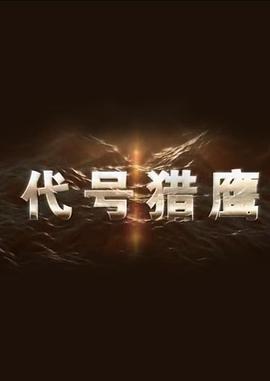 代号猎鹰第17集
