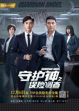 守护神之保险调查粤语(全集)