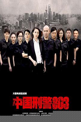 中国刑警803(全集)