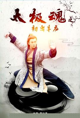太极魂之初出茅庐