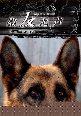 战友无声