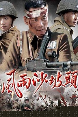 风雨沙坡头(全集)