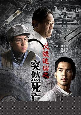火线追凶之突然死亡