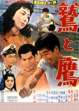 鹫与鹰