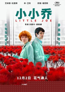 小小乔