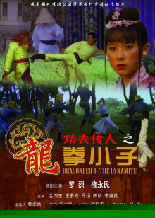 功夫传人之龙拳小子