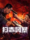 扫毒风暴HD