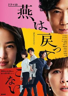 燕子不再归来第8集