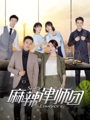 麻辣律师团第06集