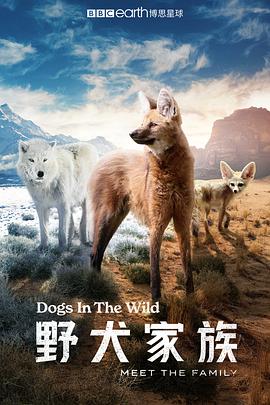 野犬家族第03集