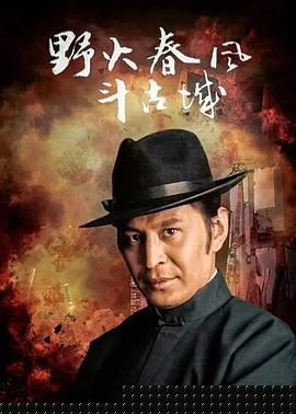 野火春风斗古城1995第08集